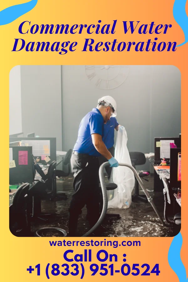 Commercial Water Damage Restoration in Barney, ND