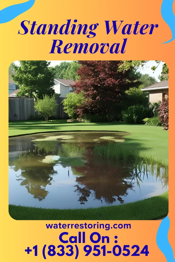 Standing Water Removal in Barney, ND